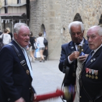 WWII French Veterans