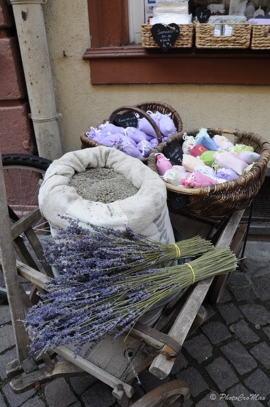 img_20100813_113854_dsc5059_resize