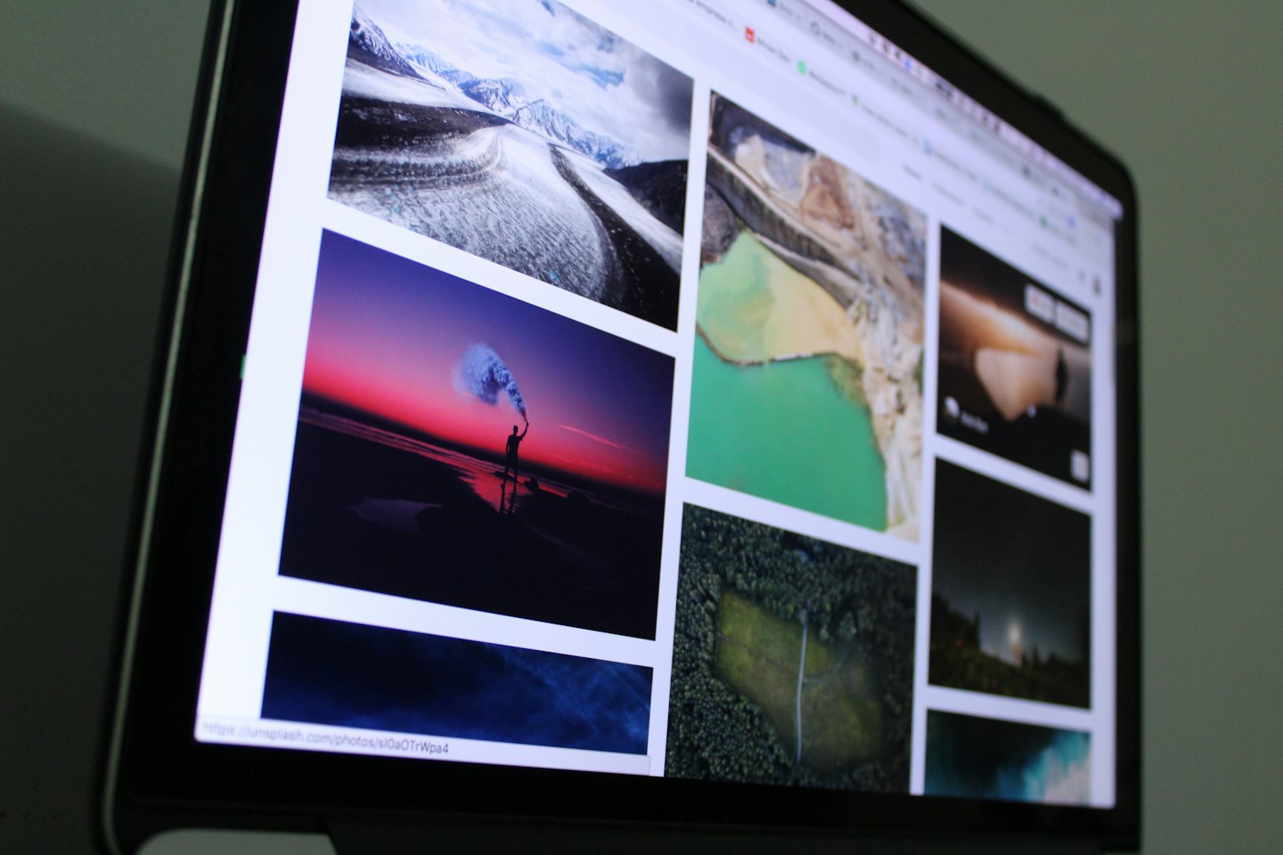 Un monitor di computer mostra una griglia di foto naturalistiche.